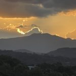 IMG_8379
