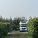 IMG_0949